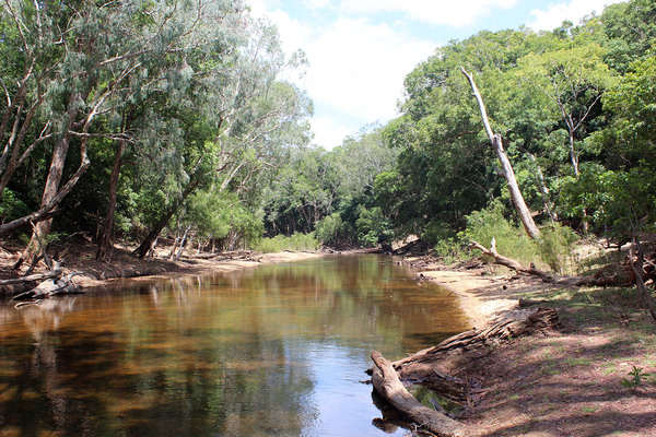 Один из притоков реки Арчер (Archer river) на полуострове Cape York в австралийском штате Квинсленд (Queensland), где мы побывали совсем недавно (ноябрь 2018 года).