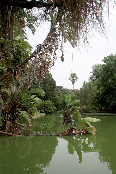 Лиссабонский ботанический сад (Jardim Botanico Tropical, Lisboa)