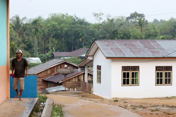 Небольшая деревня Укуй в индонезийском округе Пелалаван (Pelalawan) провинции Риау.  Рядом с населенным пунктом находятся истоки реки Sungai Kerumutan. Здесь обитает открытый в 2019 году природный гибрид - криптокорина Арди (Cryptocoryne ×ardyi). 