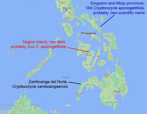 Google-карта Филиппинского архипелага с указанием ареалов обитания криптокорин похожих на криптокорину апоногетонолистную (Cryptocoryne aponogetifolia).