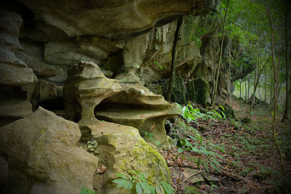 Скала образована карстовыми породами, и над этим мягким материалом природа искуссно поработала. Bau, Sarawak. Автор фотографии – Роман Магин.