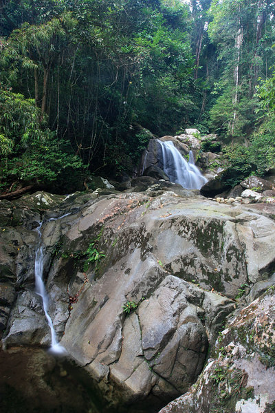 Gunung Gading NP, Sarawak