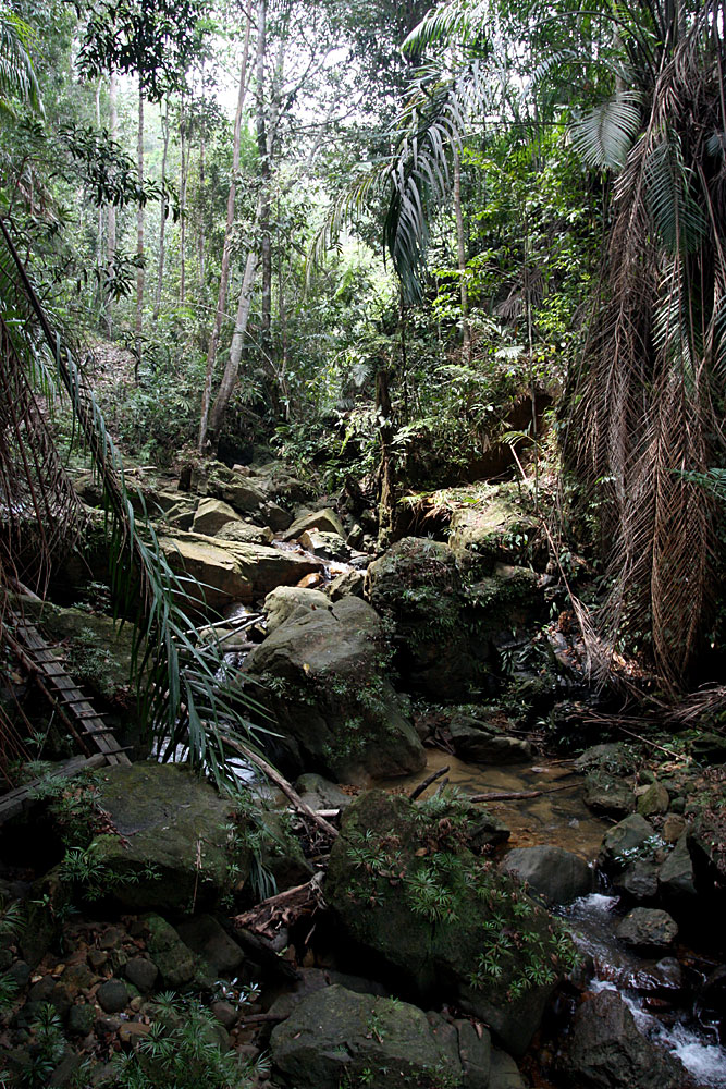 Buso, Sarawak