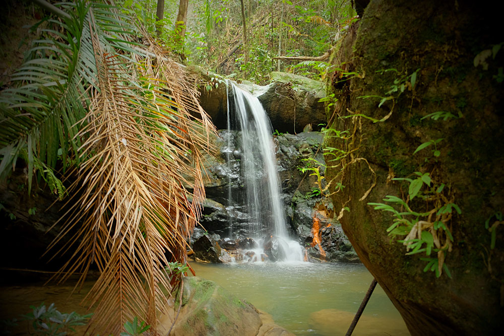 Buso, Sarawak