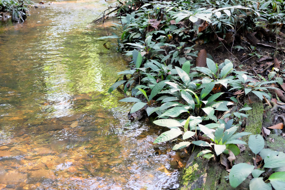 Sungai Kabo, Sarawak
