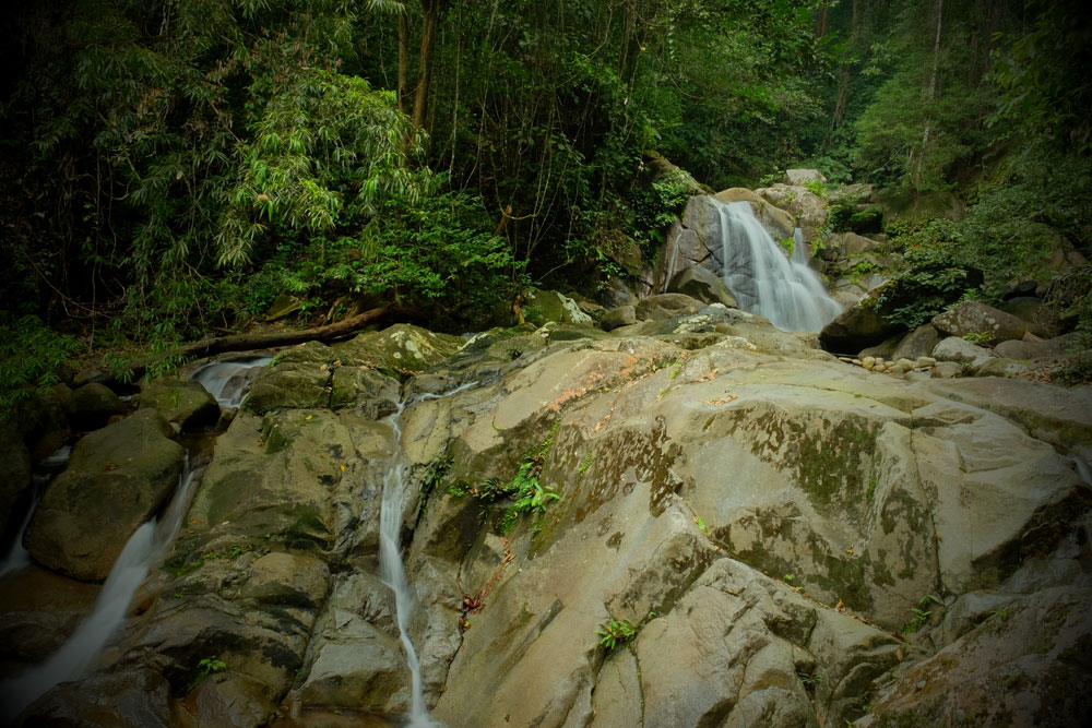 National Park Gunung Gading
