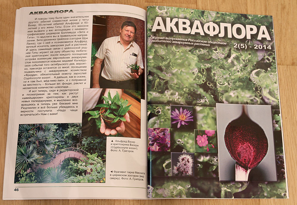 В журнале "Аквафлора" 2(5)-2014 опубликована статья о 15-м заседании Европейского общества любителей криптокорин