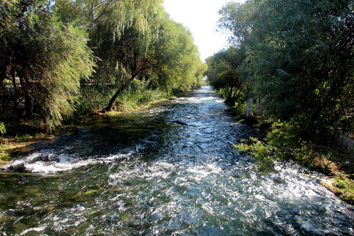Река Дюден (Duden river) - стремительный водный поток на юге Турции. Несет свои воды с центральных горных районов и впадает в Спедиземное море в городской черте Анталии. На своем пути образует несколько водопадов, один из которых находится на берегу моря, где вода падает с высоты 40 метров сразу в море. Водопады являются одной из главных достопримечательностей Антальи. Для аквариумистов же эта река примечательна тем, что здесь обитает небольшая рыбка Восточный афаниус (Aphanius mento).