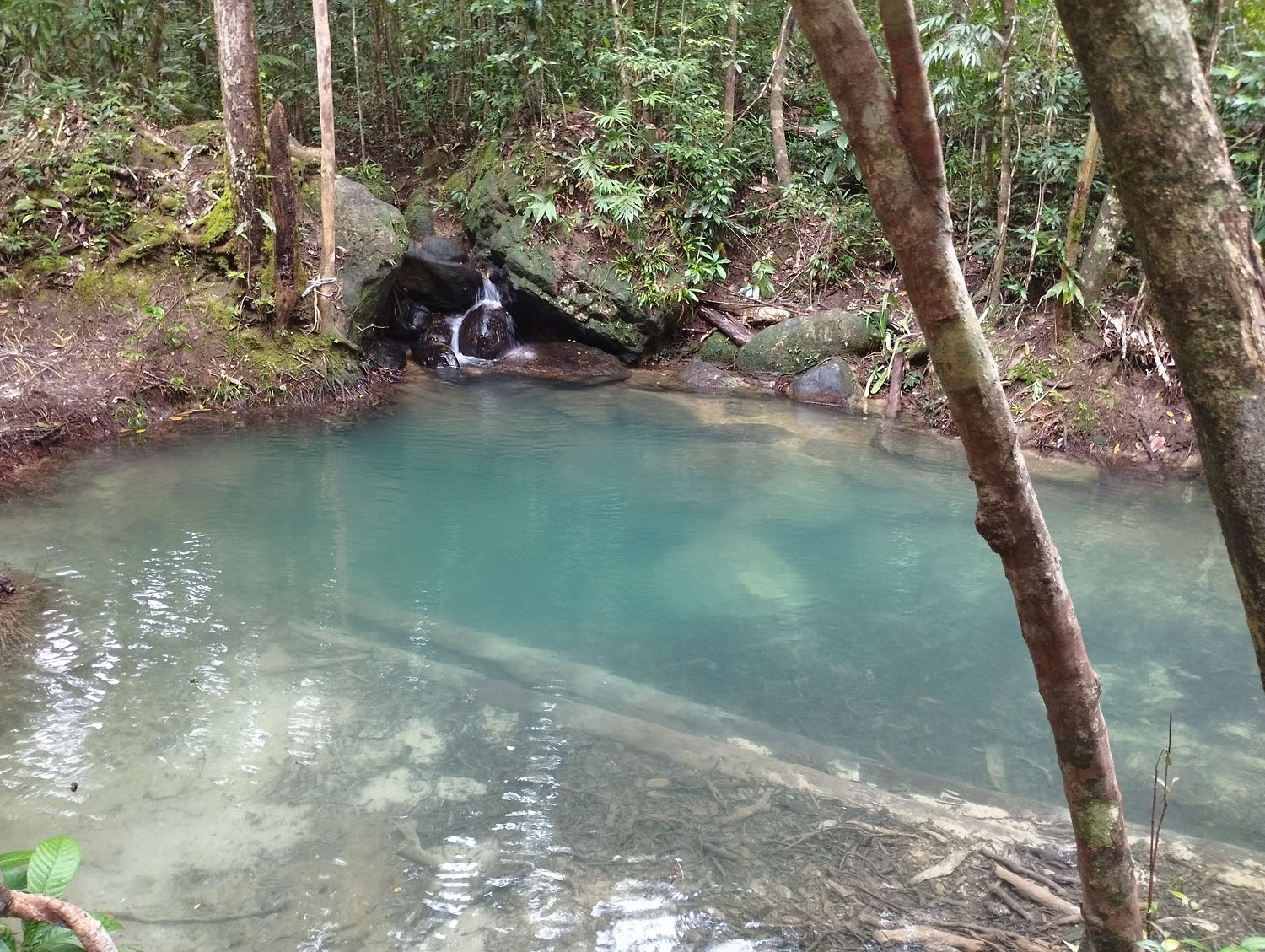 «Голубое озеро» (Blue Pool Santubong Trail) на полуострове Дамай (штат Саравак, Борнео)