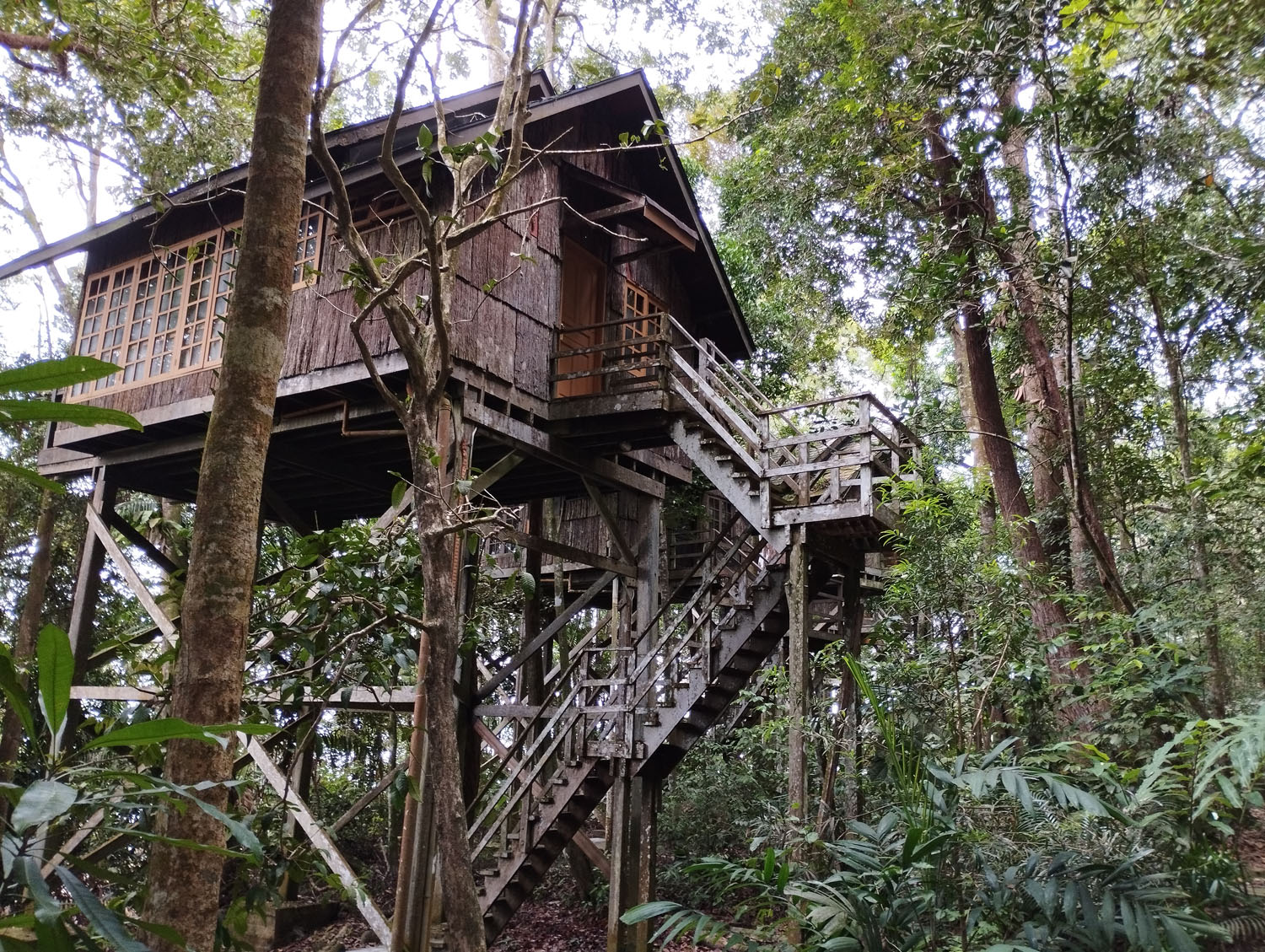 Домики ЭКО отеля (Permai Rainforest Resort)