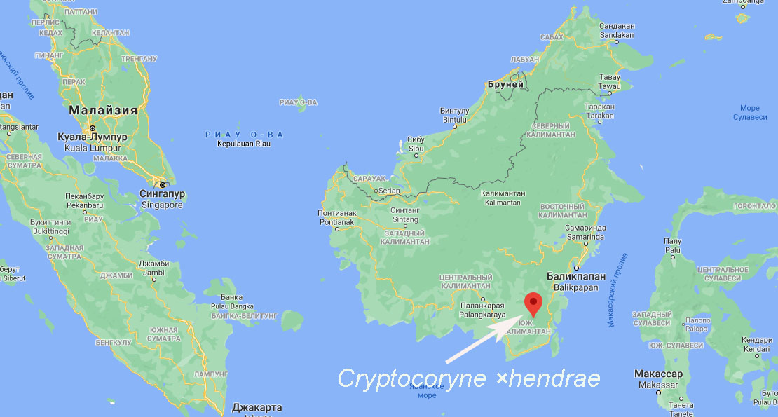 Где остров калимантан. Остров Калимантан на карте. Калимантан Индонезия на карте. Индонезия остров Калимантан на карте.