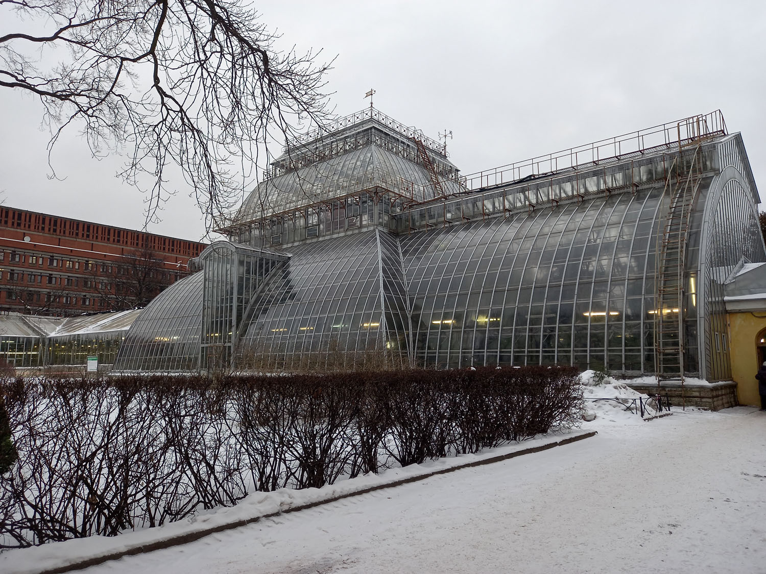 Ботанический сад Петра Великого со Знаком качества - Ароидные: от болота до аквариума