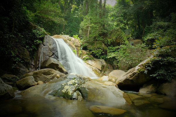 National Park Gunung Gading, Sarawak, Borneo