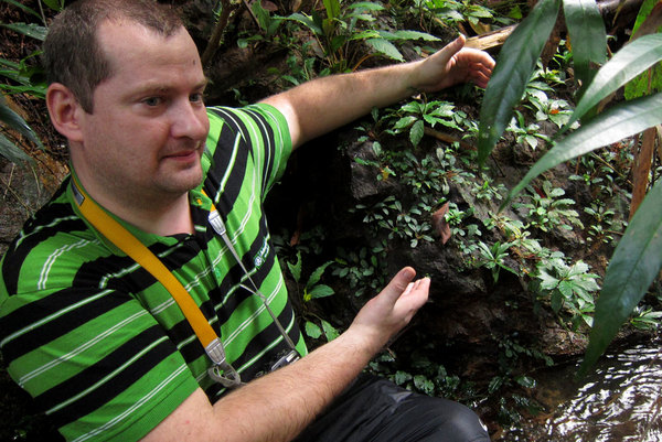 Константин Пахомов в горном ручье с буцефаландрой Богнера (Bucephalandra bogneri), Саравак, Борнео.