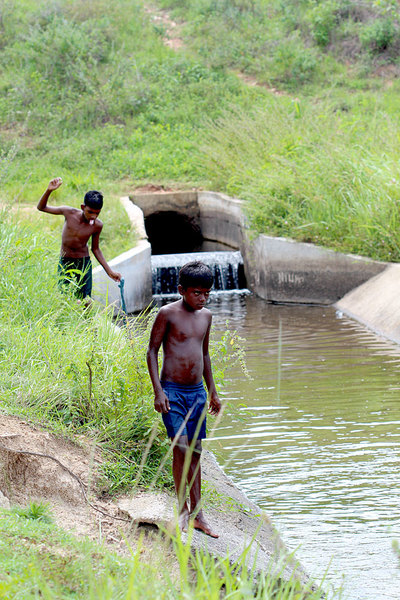 Канал, вытекающий из резервуара Dalukkane. Местные пацаны, несмотря на свой суровый вид, всегда готовы за несколько десятков рупий помочь в ловле рыбок.