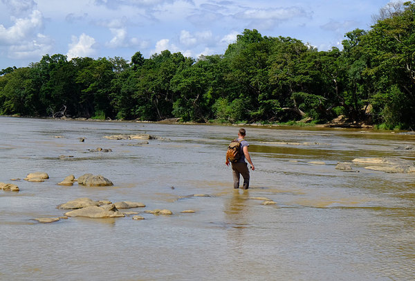 Река Махавели (Mahaweli River) в ее нижнем течении - не самое лучшее место для произрастания водных растений. Хотя скорее всего, мы просто оказались не в самом ее интересном месте.