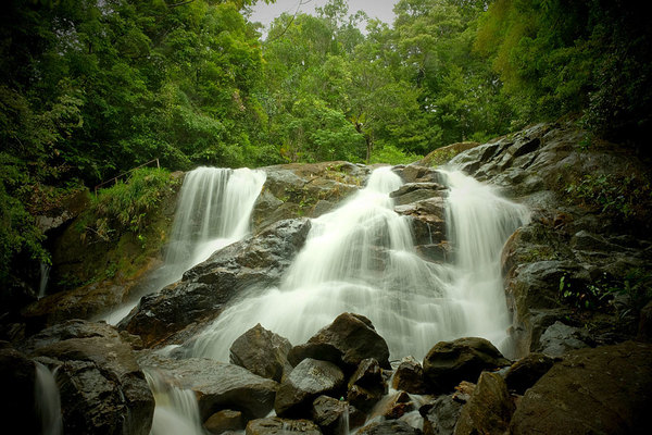 Водопад в дождевом лесу недалеко от Эльпитии (Шри-Ланка).