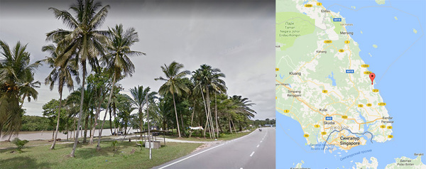 Картинка местности, полученная с помощью google-карт. Не смотря на то, что фотосъемка была выполнена в ноябре 2013 года, что почти на 4 года ранее нашего путешествия, обстановка на берегу реки Sedili Besar практически не изменилась.