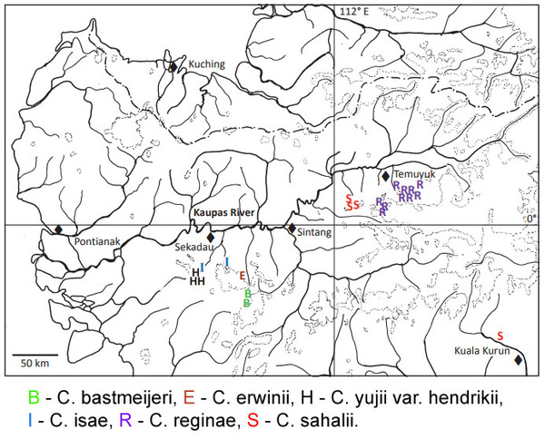 Западный Калимантан. Карта распределения мест обитания новых криптокорин и, в частности, криптокорины Эрвина (Cryptocoryne erwinii).