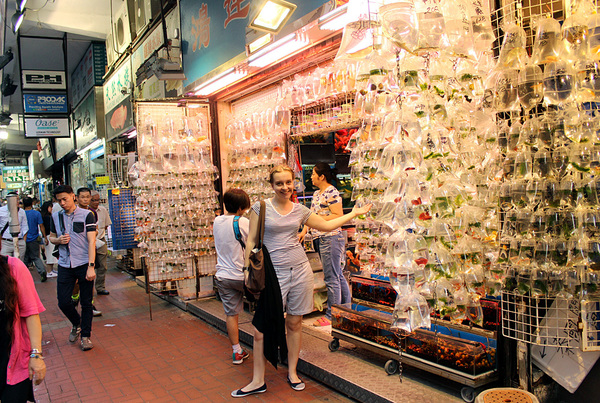 Несмотря на то, что Гонконг часто называют каменными джунглями, когда дело касается торговли, свой товар гонконгцы не скрывают в темных подвалах магазинов, а вываливают (в прямом смысле) на улицы. Не исключением стала и рыбная улица, на которой продается почти все известное миру многообразие обитателей домашних аквариумов, причем по очень низким ценам.