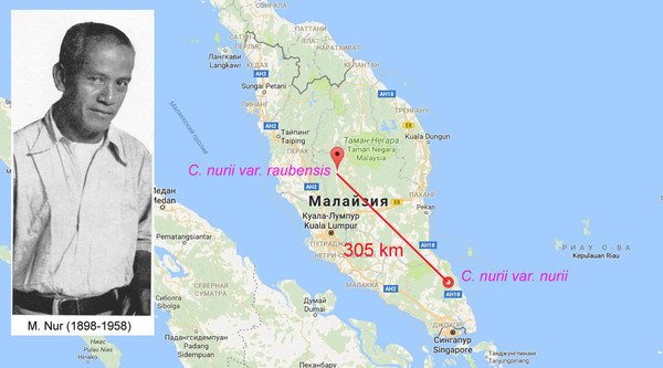 Map of the Malay Peninsula with locations of two varieties of Cryptocoryne nurii. The insert shows a photograph of Mohamed Nur.