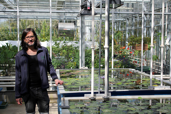 Главный специалист по водным растениям Королевских ботанических садов Кью и автор настоящей статьи - Карлос Магдалена (Carlos Magdalena). На фотографии представлена коллекционная теплица (не для открытого доступа), где Карлос и проводит свои эксперименты по содержанию и размножению растений.