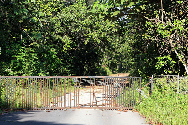 Ворота, перекрывающие дорогу от заброшенной гостиницы  Panti Bird Sanctuary в сам заповедник.
