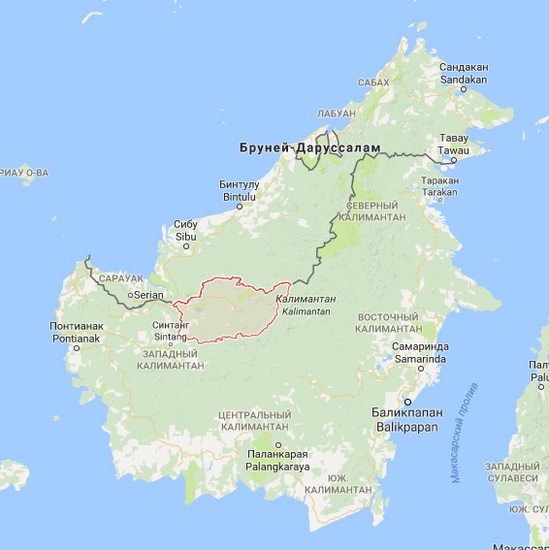 На представленной карте острова Калимантан красным цветом обозначены границы области Kapuas hulu, эндемиком которой является криптокорина королевская (Cryptocoryne reginae).