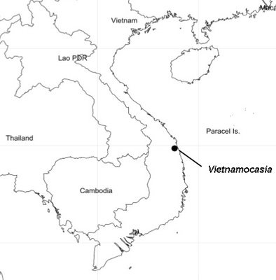 Вьетнамоказия Дау является эндемиком склонов одной горы, расположенной неподалеку от берегов Южно-Китайского моря.