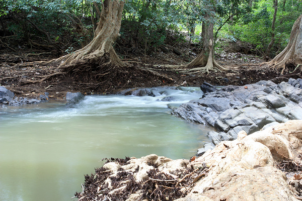 Несколькими километрами севернее от предыдущего места, у населенного пункта Diyabeduma, река Миннерия распадается на несколько рукавов без видимых изменений в характере биотопа.
