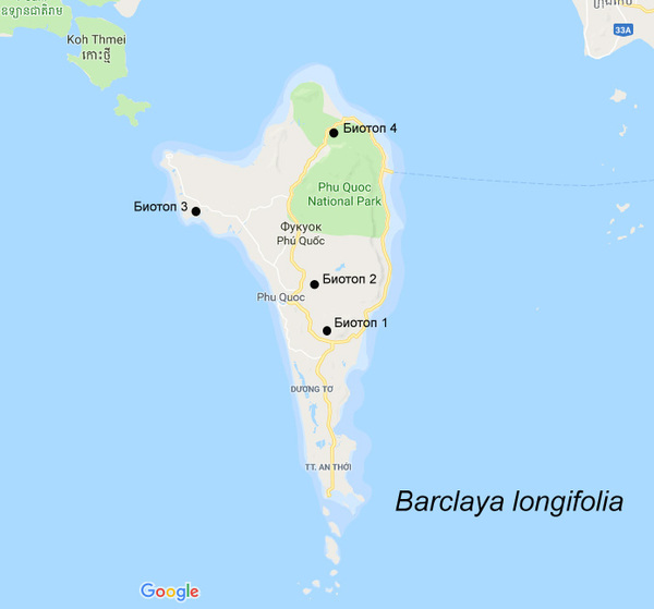 Карта острова Фукуок с указанием мест обнаружения барклайи длиннолистной (Barclaya longifolia). Вьетнам.