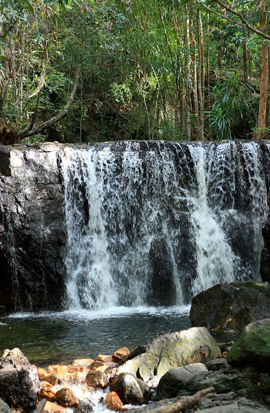 Waterfall Suối Tranh. Небольшой водопад в тропическом лесу. С вьетнамского выражение "Suối Tranh" дословно переводится как "картина потока". В центре острова Фукуок располагается небольшой горный массив, и с его склонов ежесегундно течет множество ручьев, которые и образуют подобные творения природы.