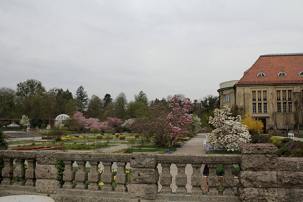 Мюнхенский ботанический сад располагается рядом с дворцом Нимфенбург, причем роскошный дворцовый парк относится к ботаническому саду. Botanischer Garten München-Nymphenburg 