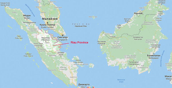 Карта островов Юго-Восточной Азии с указанием индонезийской провинции Риау (Province Riau), где в природе произрастают новые разновидности криптокорин, для исследования которых мы организуем экспедицию во второй половине октября нынешнего года.