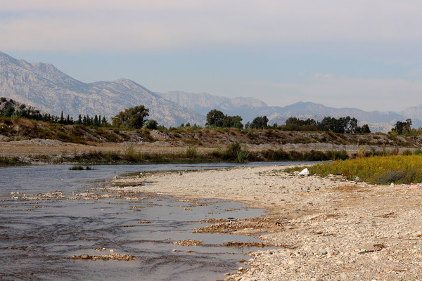 Boga Stream - река с плотным песчаным дном, которая впадает в Средиземное море на западных окраинах Анталии. Внешне этот биотоп очень похож на те реки, где должны обитать афаниусы, но найти их здесь нам не удалось.