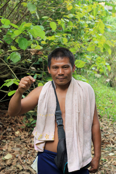 Local Indonesian man explains the application of Cryptocoryne leaves in folk medicine. Rengat, Sumatera. Photo: D. Loginov.