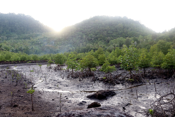 Sabang по индонезийски, Weh Island по английски... Все это названия небольшого острова на севере Суматры. В основном сюда едут туристы ради тихого отдыха с дайвингом и снорклингом. При этом большая часть берегов острова поросла глухими зарослями мангровых деревьев.