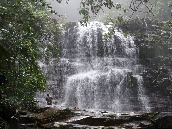 Водопад на небольшой речке Sungai Rayu является основной достопримечательностью Национального парка Кубах (Kubah National Park), а также местом обитания множества околоводных растений, перспективных для содержания в домашних аквариумах и палюдариумах. Штат Саравак, Борнео.