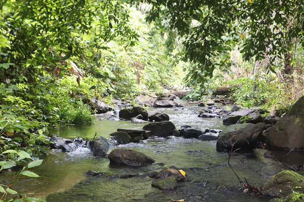 Горный ручей на высоте нескольких сотен метров над уровнем моря образует небольшой водопад Air Terjun. Сам водопад ничем непримечателен и почти незаметен в сухой сезон из-за малого количества воды. Впадает ручей в залив Sabang, расположенный у северной части одноименного острова. Тропический лес вокруг ручья наполнен большим разнообразием флоры и фауны, доступной для наблюдений.