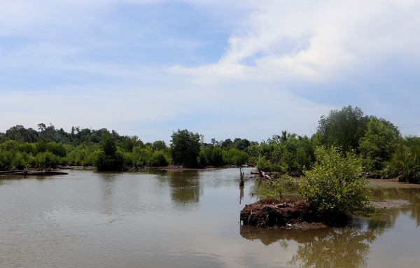 Река на севере острова Суматра, название которой выяснить не удалось. В устье реки удалось обнаружить популярную среди аквариумистов аквариумную рыбку - Оризиаса яванского (Oryzias javanicus).