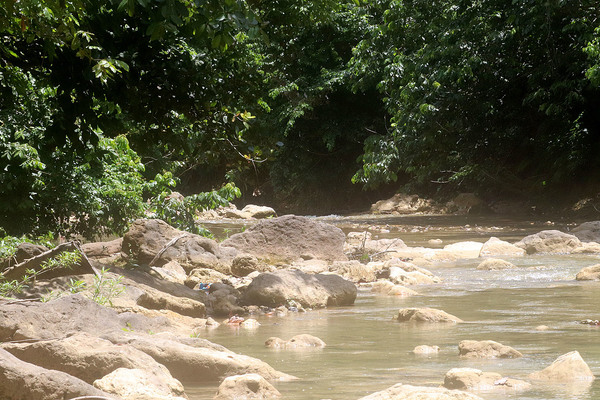 Лесная речка на северо-востоке острова Эспаньола, недалеко от населенного пункта Sabana de la Mar. Dominican Republica.