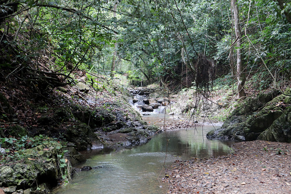 Rio Cocuyo - небольшая горная, но очень живописная речка, которая подарила нам множество интересных открытий. Речку с таким названием мне не удалось найти даже на Доминиканских картах, тем не менее она есть, о чем свидетельствовала табличка с названием на обочине дороги.