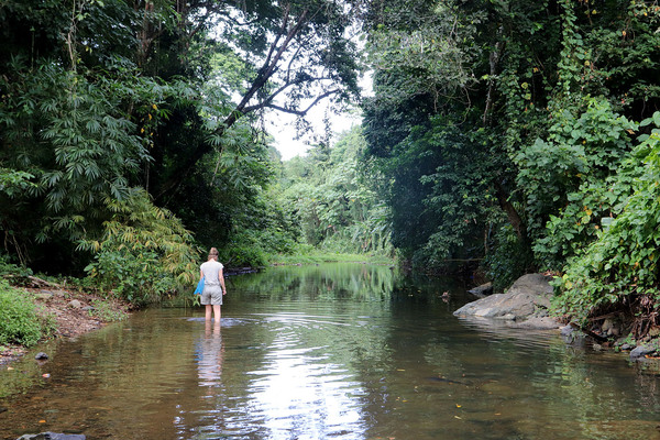 Rio La Culebra - еще одна живописная река с богатой гидрофауной. Речка пересекает автодорогу Miches-Sabana de la Mar, примерно в 10 км от города Miches.