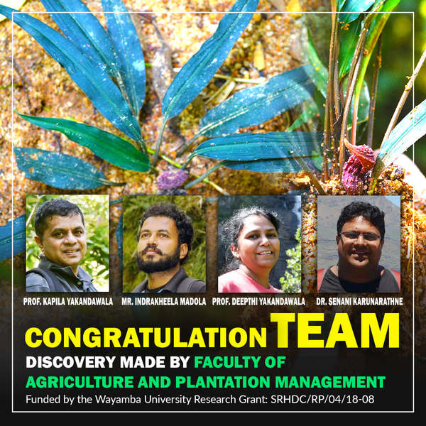 Открытие нового растения, Лагенандры ваямбской (Lagenandra wayambae), сделали ланкийские ботаники  Mr. Indrakeela Madola, Prof. Kapila Yakandawala, Prof. Deepthi Yakandawala & Dr. Senani Karunarathne  из университета Wayamba University of Sri Lanka. Растение было названо в честь университета.