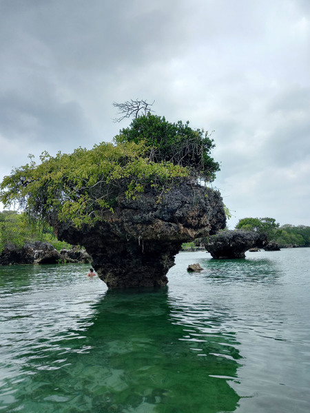 Океан постоянно подтачивает берега островов Занзибарского архипелага, создавая целые произведения искусства, напоминающие картины из фантастических фильмов. Blue Safari, Zanzibar, Tanzania.