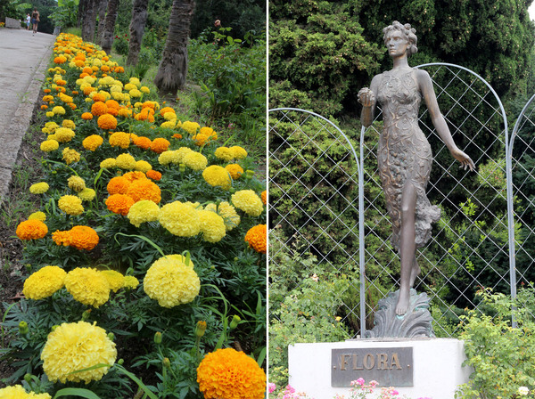 Даже обычные бархатцы, выращенные на южном крымском берегу, пышут своими сочными красками. На все это безобразие с высоты взирает древнеримская богиня Флора. Никитский ботанический сад.