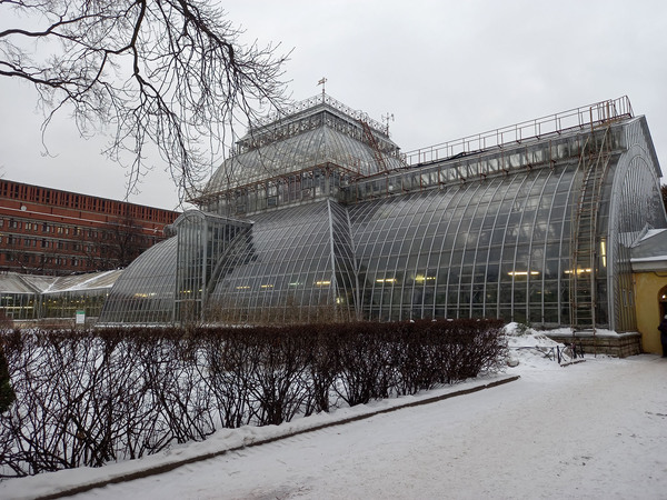 GreenHouseОранжереи ботанического сада в Санкт-Петербурге начали строить еще в 18-ом веке