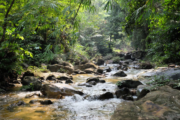 Горный приток Sungai Semadang в районе Annah Rais