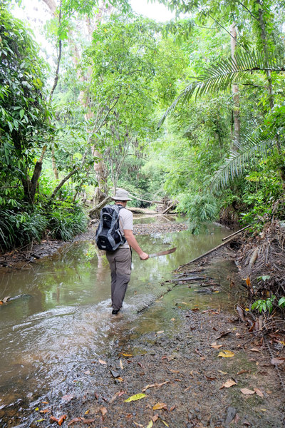 Исследование притока реки Batang Ai. Один из участников экспедиции - Роман Магин