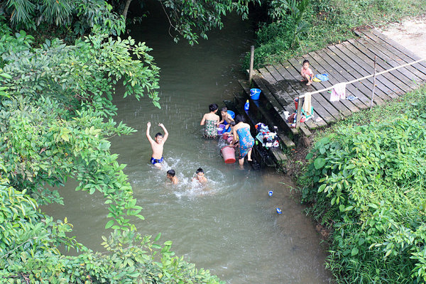 Река Sedian является не только биотопом криптокорины Ки (Cryptocoryne keei), но и прачечной для местных жителей